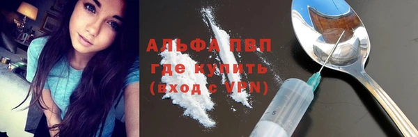 spice Алзамай