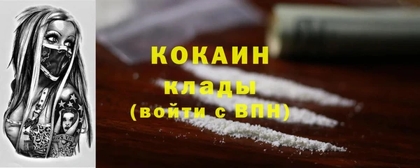 spice Алзамай