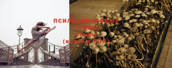 2c-b Алексеевка