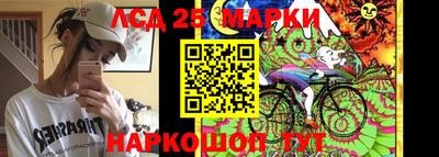 спиды Гай