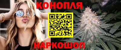 гидра Гатчина