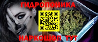 спиды Гай