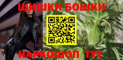 гидра Гатчина
