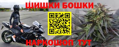 гидра Гатчина