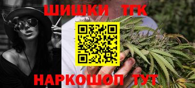 спиды Гай
