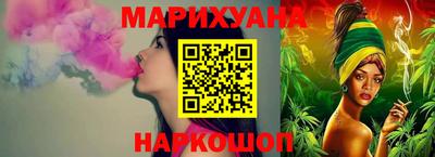 спиды Гай