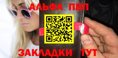 спиды Гай