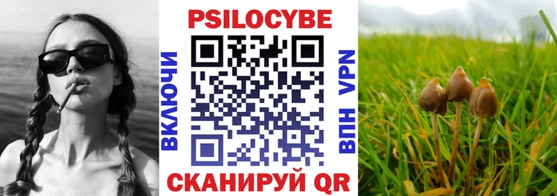 купить наркотики сайты  Новоалтайск  Псилоцибиновые грибы прущие грибы 