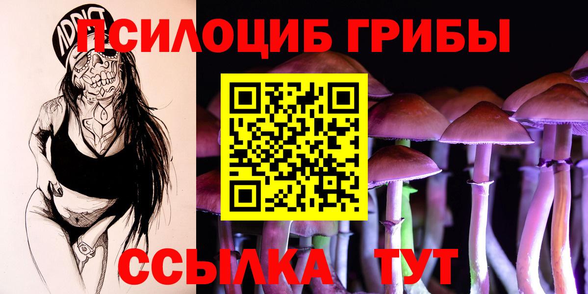 купить  сайты  Псилоцибиновые грибы Cubensis  Вход с VPN  Новоалтайск 